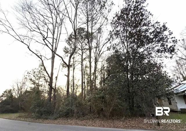 Photo 1 of Land for sale at Lt 11 Blk 3 Martin Luther King Dr, Brewton, AL 36426 | MLS# 410162 | Listing updated on 2026-09-02