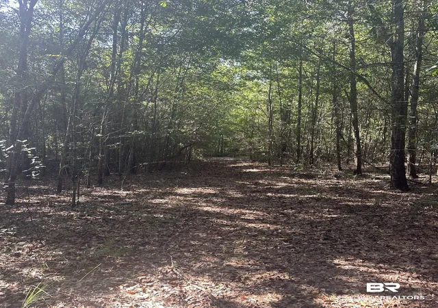 Photo 3 of Land for sale at 0 W Northwoods Dr, Semmes, AL 36575 | MLS# 411007 | Listing updated on 2026-10-09