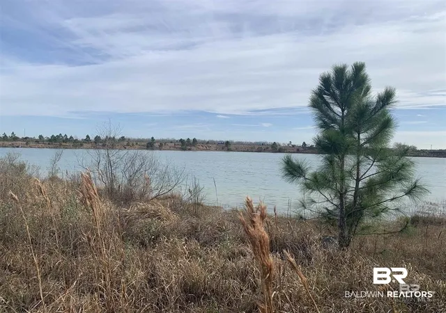 Photo 1 of Land for sale at 0 Baldwin Beach Expressway, Summerdale, AL 36580 | MLS# 367802 | Listing updated on 2026-09-22