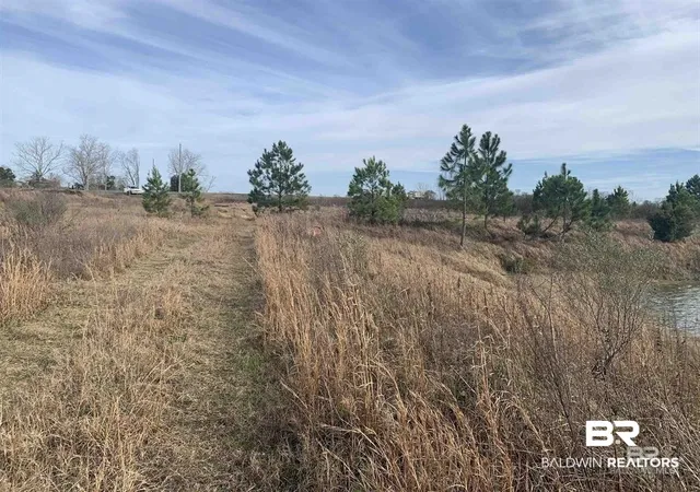 Photo 3 of Land for sale at 0 Baldwin Beach Expressway, Summerdale, AL 36580 | MLS# 367802 | Listing updated on 2026-09-22