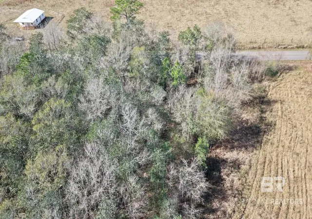Photo 3 of Land for sale at 0 Virginia Dr, Atmore, AL 36502 | MLS# 411785 | Listing updated on 2026-10-10