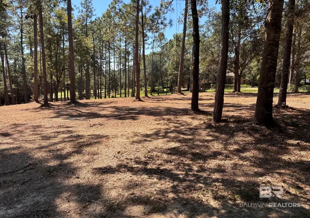 Photo 1 of Land for sale at 0 W Water View Dr, Loxley, AL 36551 | MLS# 397503 | Listing updated on 2026-10-05