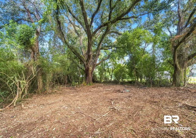 Photo 2 of Land for sale at 0 Boaz Rd, Loxley, AL 36551 | MLS# 411025 | Listing updated on 2026-09-22