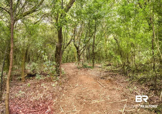 Photo 3 of Land for sale at 0 Boaz Rd, Loxley, AL 36551 | MLS# 411025 | Listing updated on 2026-09-22