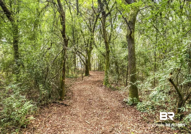 Photo 4 of Land for sale at 0 Boaz Rd, Loxley, AL 36551 | MLS# 411025 | Listing updated on 2026-09-22