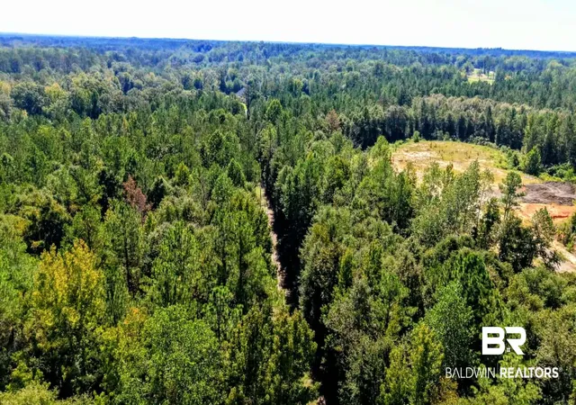 Photo 3 of Land for sale at 98 Clareon Dr, Gilbertown, AL 36908 | MLS# 410819 | Listing updated on 2026-09-22