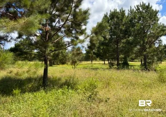 Photo 1 of Land for sale at 0 Boros Rd, Elberta, AL 36530 | MLS# 410468 | Listing updated on 2026-09-09