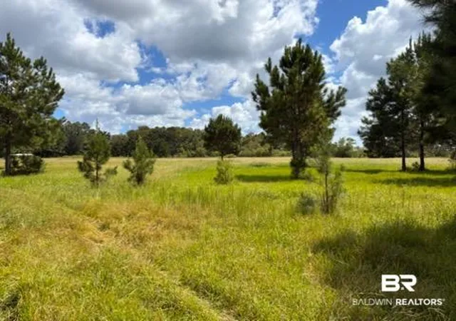 Photo 2 of Land for sale at 0 Boros Rd, Elberta, AL 36530 | MLS# 410468 | Listing updated on 2026-09-09