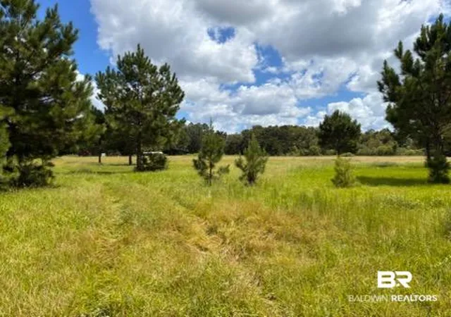 Photo 3 of Land for sale at 0 Boros Rd, Elberta, AL 36530 | MLS# 410468 | Listing updated on 2026-09-09