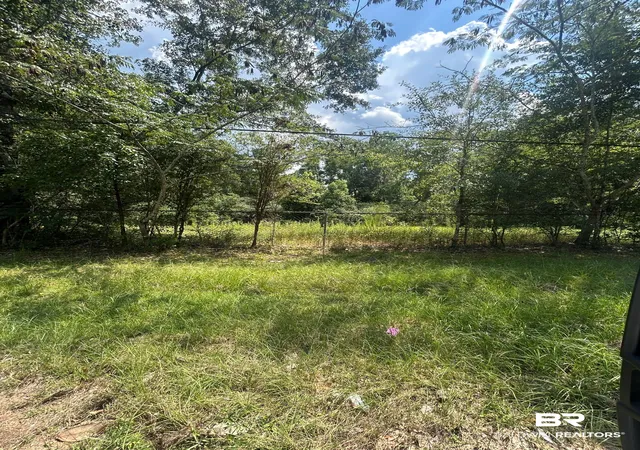 Photo 3 of Land for sale at 0 Carroll Ave, Eight Mile, AL 36613 | MLS# 399792 | Listing updated on 2026-09-28