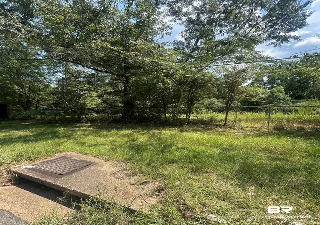 Photo 4 of Land for sale at 0 Carroll Ave, Eight Mile, AL 36613 | MLS# 399792 | Listing updated on 2026-09-28
