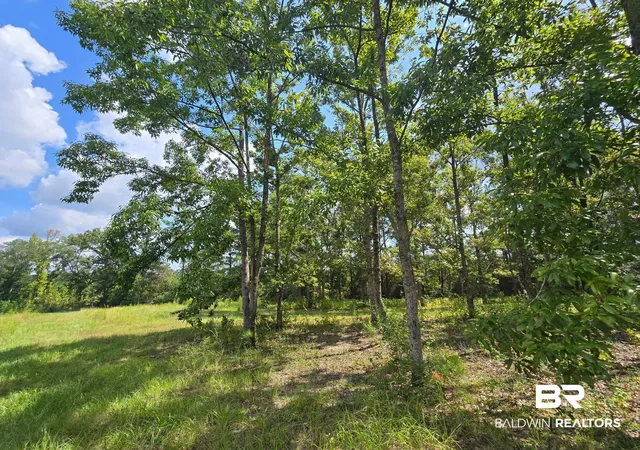 Photo 3 of Manufactured home for sale at 205 Gibson, Castleberry, AL 36432 | MLS# 411105 | Listing updated on 2026-10-07