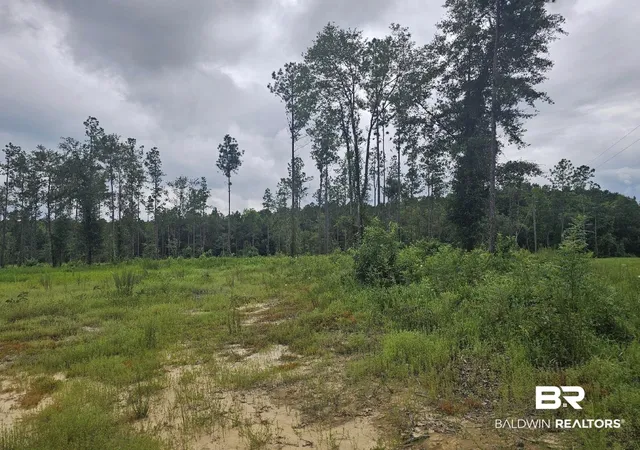 Photo 1 of Land for sale at 23799 Lonnie Hadley Rd #1, Perdido, AL 36562 | MLS# 410897 | Listing updated on 2026-09-25