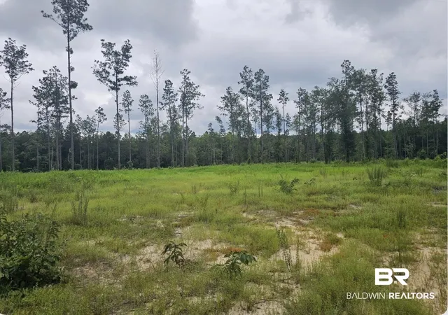 Photo 2 of Land for sale at 23799 Lonnie Hadley Rd #1, Perdido, AL 36562 | MLS# 410897 | Listing updated on 2026-09-25