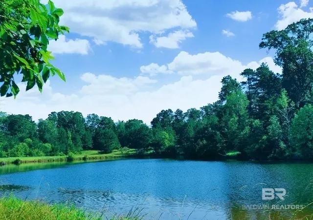 Photo 2 of Land for sale at 0 Highway 17, Millry, AL 36558 | MLS# 411235 | Listing updated on 2026-09-30