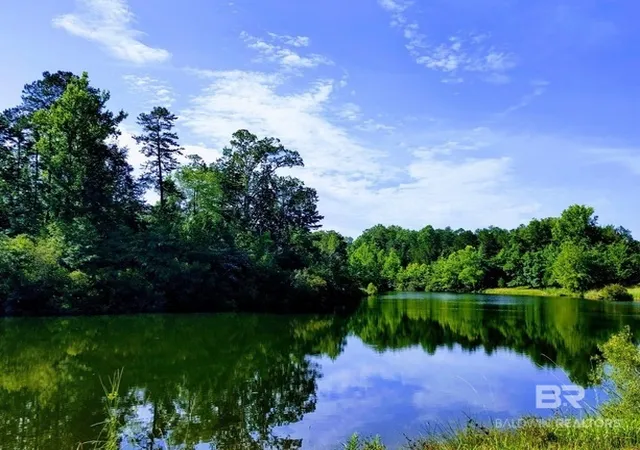 Photo 3 of Land for sale at 0 Highway 17, Millry, AL 36558 | MLS# 411235 | Listing updated on 2026-09-30