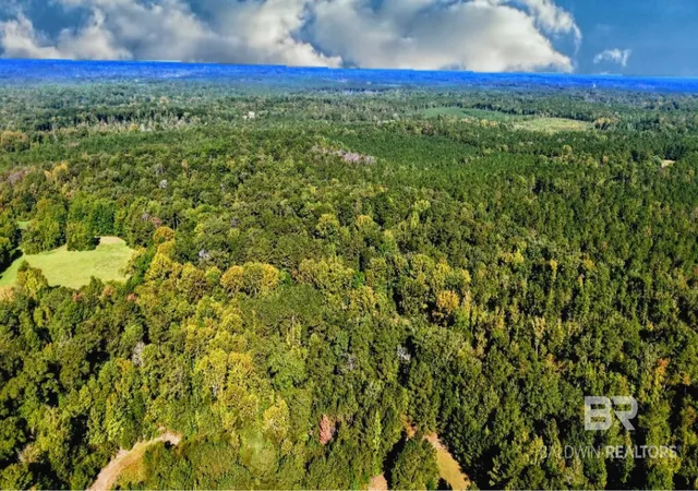 Photo 73 of Land for sale at 0 Highway 17, Millry, AL 36558 | MLS# 411235 | Listing updated on 2026-09-30