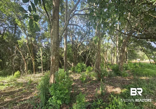Photo 1 of Land for sale at 903 Savannah Ct, Summerdale, AL 36580 | MLS# 384783 | Listing updated on 2026-09-08