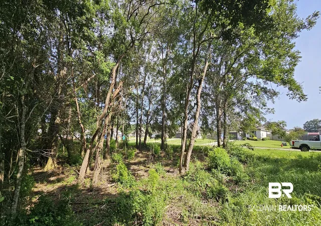 Photo 3 of Land for sale at 903 Savannah Ct, Summerdale, AL 36580 | MLS# 384783 | Listing updated on 2026-09-08