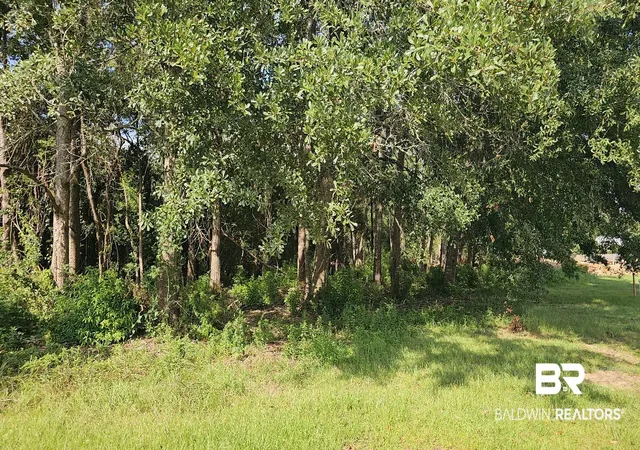 Photo 4 of Land for sale at 903 Savannah Ct, Summerdale, AL 36580 | MLS# 384783 | Listing updated on 2026-09-08