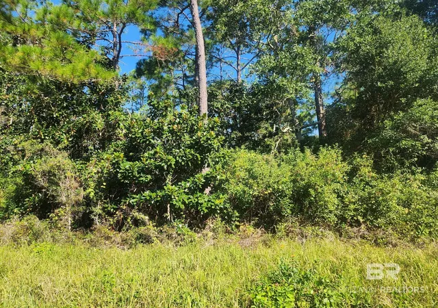 Photo 2 of Land for sale at 0 Creek St, Perdido Beach, AL 36530 | MLS# 412046 | Listing updated on 2026-10-27