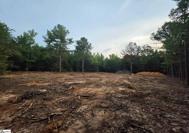Photo 1 of Land for sale at 00 Owens Dr, Laurens, SC 29360 | MLS# 1603215 | Listing updated on 2026-09-08