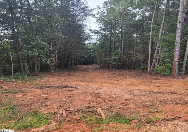 Photo 2 of Land for sale at 00 Owens Dr, Laurens, SC 29360 | MLS# 1603215 | Listing updated on 2026-09-08