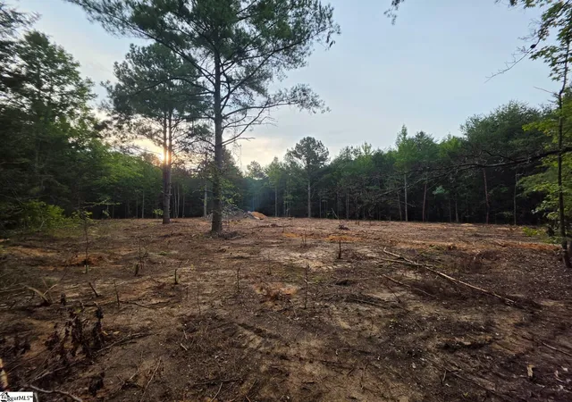 Photo 3 of Land for sale at 00 Owens Dr, Laurens, SC 29360 | MLS# 1603215 | Listing updated on 2026-09-08