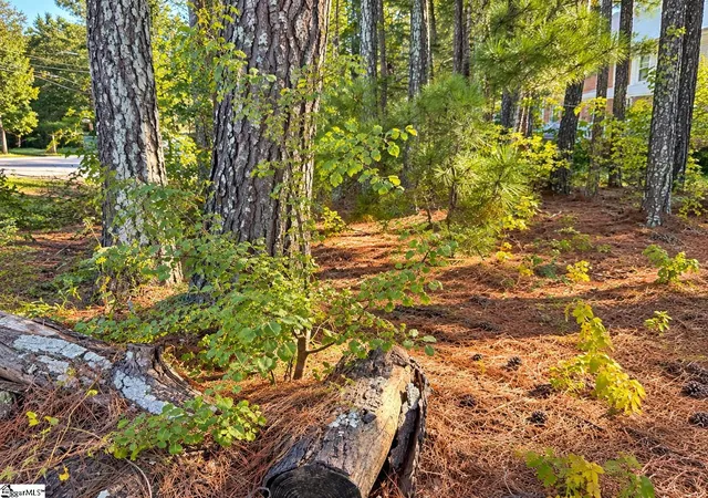 Photo 1 of Land for sale at 00 W Centennial St, Clinton, SC 29325 | MLS# 1604113 | Listing updated on 2026-09-18
