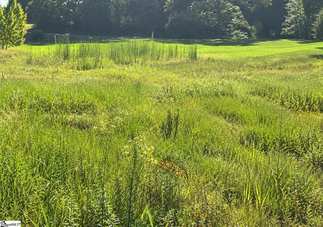 Photo 2 of Land for sale at 00 W Centennial St, Clinton, SC 29325 | MLS# 1604113 | Listing updated on 2026-09-18