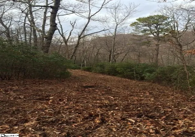 Photo 1 of Land for sale at Panther Mountain Rd #Lot 4, Travelers Rest, SC 29690 | MLS# 1290630 | Listing updated on 2026-10-09