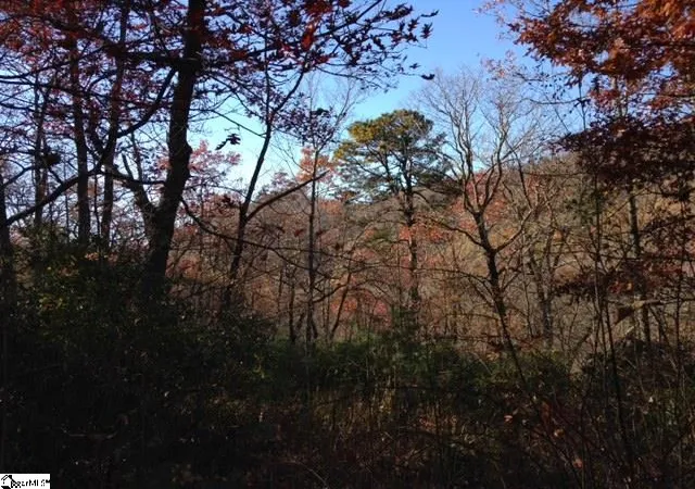 Photo 2 of Land for sale at Panther Mountain Rd #Lot 4, Travelers Rest, SC 29690 | MLS# 1290630 | Listing updated on 2026-10-09