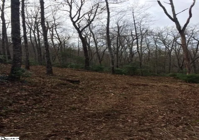 Photo 3 of Land for sale at Panther Mountain Rd #Lot 4, Travelers Rest, SC 29690 | MLS# 1290630 | Listing updated on 2026-10-09