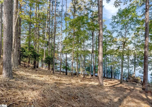 Photo 3 of Land for sale at 145 & 149 Bright Water Trl, Six Mile, SC 29682 | MLS# 1602696 | Listing updated on 2026-09-02
