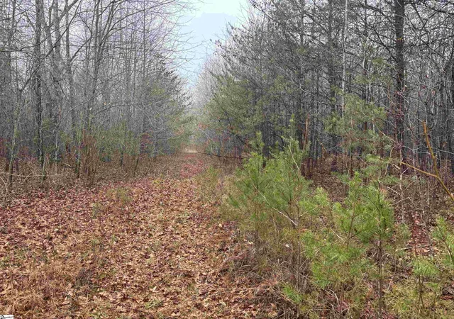 Land for sale at 0 Hwy 414 Hwy, Landrum, SC 29356 | MLS# 1580065
