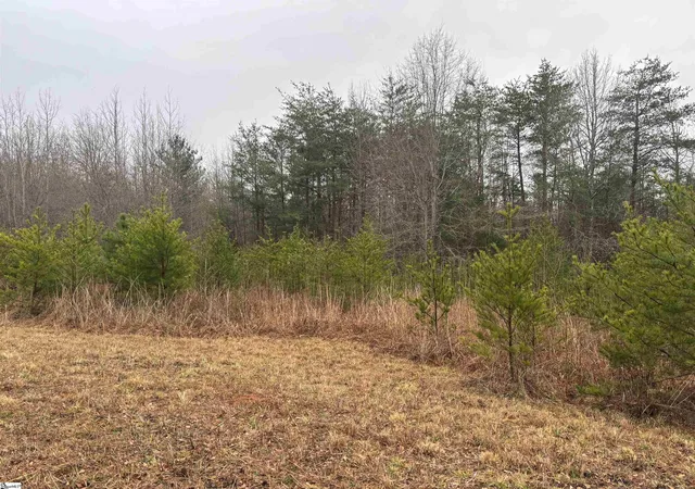 Photo 2 of House for sale at 0 Hwy 414 Hwy, Landrum, SC 29356 | MLS# 1580065 | Listing updated on 2026-09-23