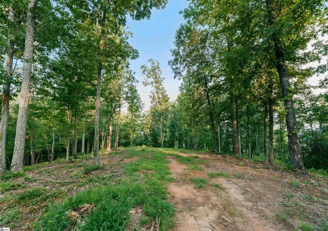 Land for sale at 200 Chestnut Mountain Rd #Lot 1, Travelers Rest, SC 29690 | MLS# 1603443