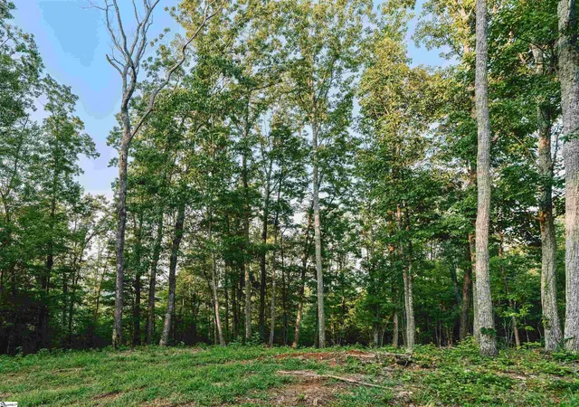 Photo 2 of Land for sale at 200 Chestnut Mountain Rd #Lot 1, Travelers Rest, SC 29690 | MLS# 1603443 | Listing updated on 2026-09-22