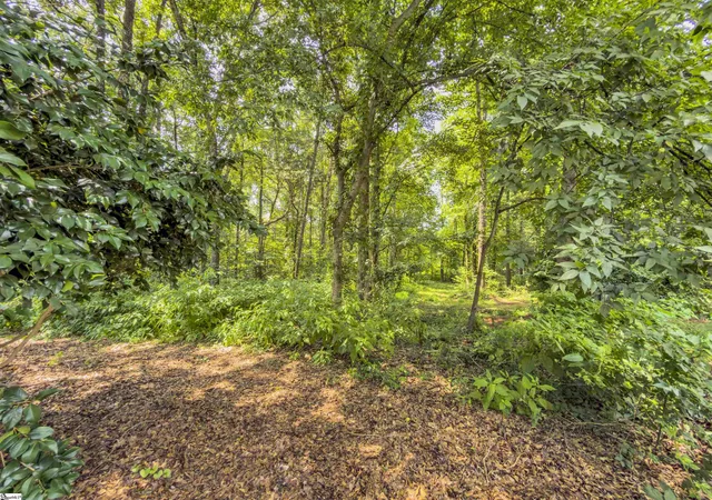 Photo 3 of Land for sale at 6 Peters Crk Ct, Simpsonville, SC 29681 | MLS# 1603772 | Listing updated on 2026-09-15