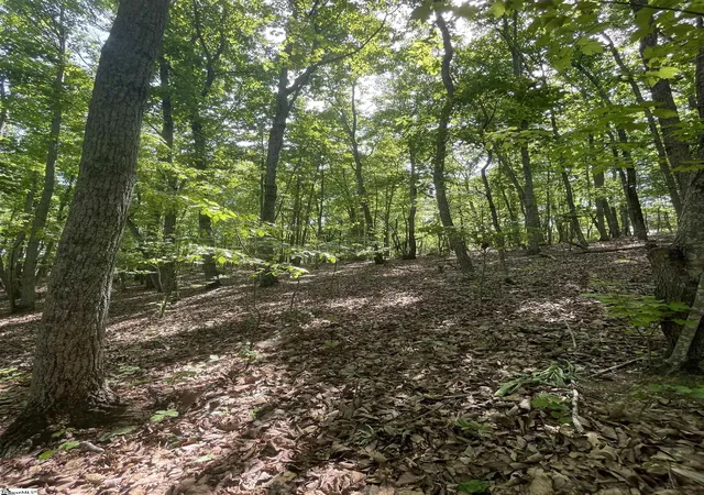Photo 3 of Land for sale at 0 Packs Mountain Ridge Rd, Taylors, SC 29687 | MLS# 1587760 | Listing updated on 2026-09-08
