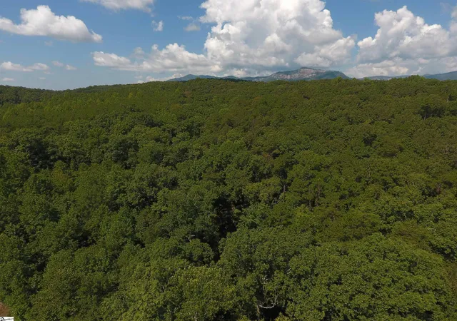 Photo 2 of Land for sale at (Undisclosed), Pickens, SC 29671 | MLS# 1602658 | Listing updated on 2026-09-02