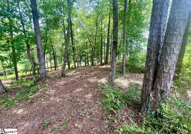 Photo 2 of Land for sale at 0 Lot 22 Waterside Point, Abbeville, SC 29620 | MLS# 1605796 | Listing updated on 2026-10-06
