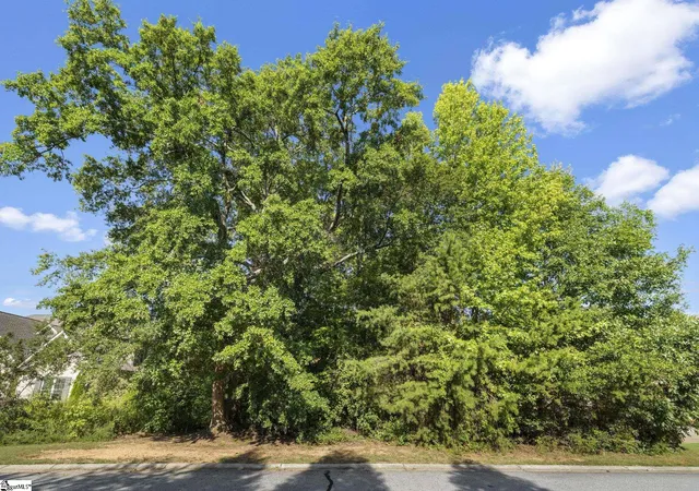 Photo 4 of Land for sale at 304 Chamblee Blvd, Greenville, SC 29615 | MLS# 1602870 | Listing updated on 2026-09-06