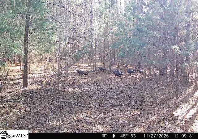 Photo 1 of Sale Pending at 0 Simpson Ml Rd, Laurens, SC 29360 | MLS# 1604279 | Listing updated on 2026-09-27