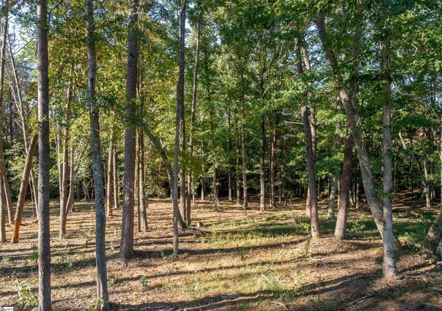 Photo 3 of Land for sale at 0 Woodall Rd #Lot A, Greenville, SC 29617 | MLS# 1606521 | Listing updated on 2026-10-22