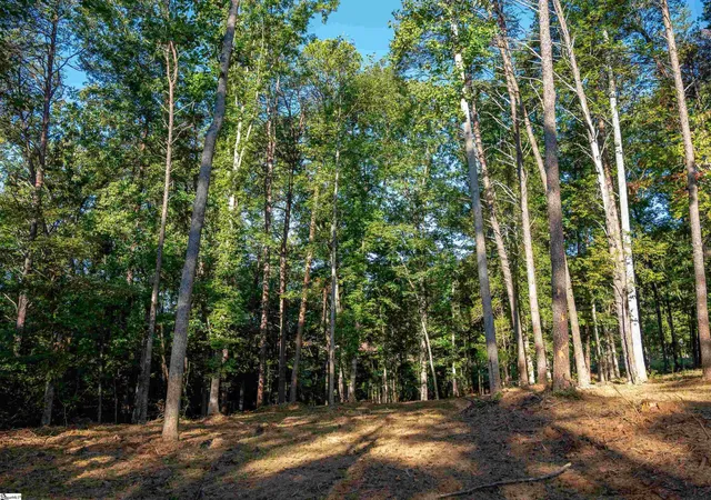 Photo 4 of Land for sale at 0 Woodall Rd #Lot A, Greenville, SC 29617 | MLS# 1606521 | Listing updated on 2026-10-22