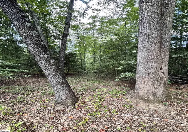 Photo 4 of Land for sale at (Undisclosed), Greer, SC 29650 | MLS# 1603624 | Listing updated on 2026-09-11
