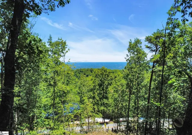 Land for sale at 1321 Altamont Rd, Greenville, SC 29609 | MLS# 1604474