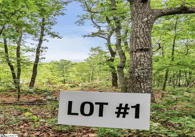 Photo 2 of Land for sale at 1321 Altamont Rd, Greenville, SC 29609 | MLS# 1604474 | Listing updated on 2026-09-22