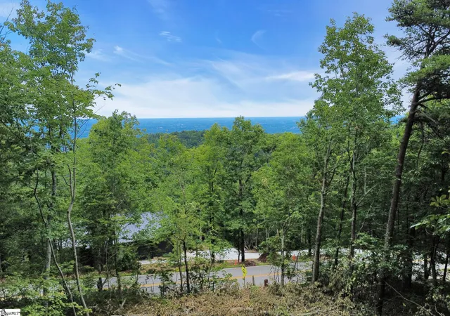 Photo 3 of Land for sale at 1321 Altamont Rd, Greenville, SC 29609 | MLS# 1604474 | Listing updated on 2026-09-22